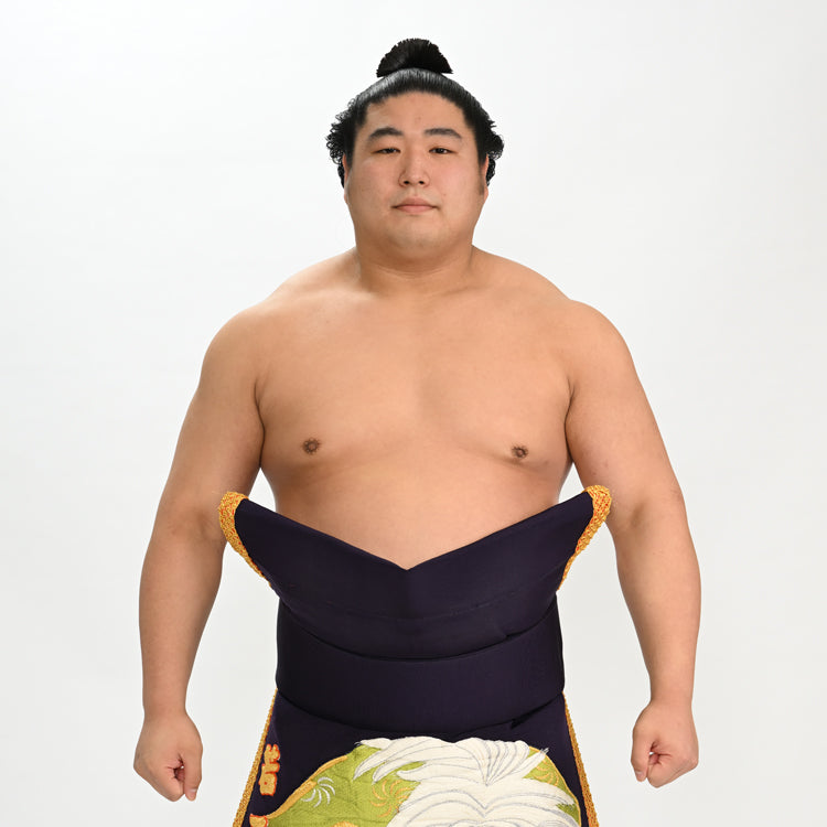 大相撲若元春力色紙vol.4 - スポーツ選手