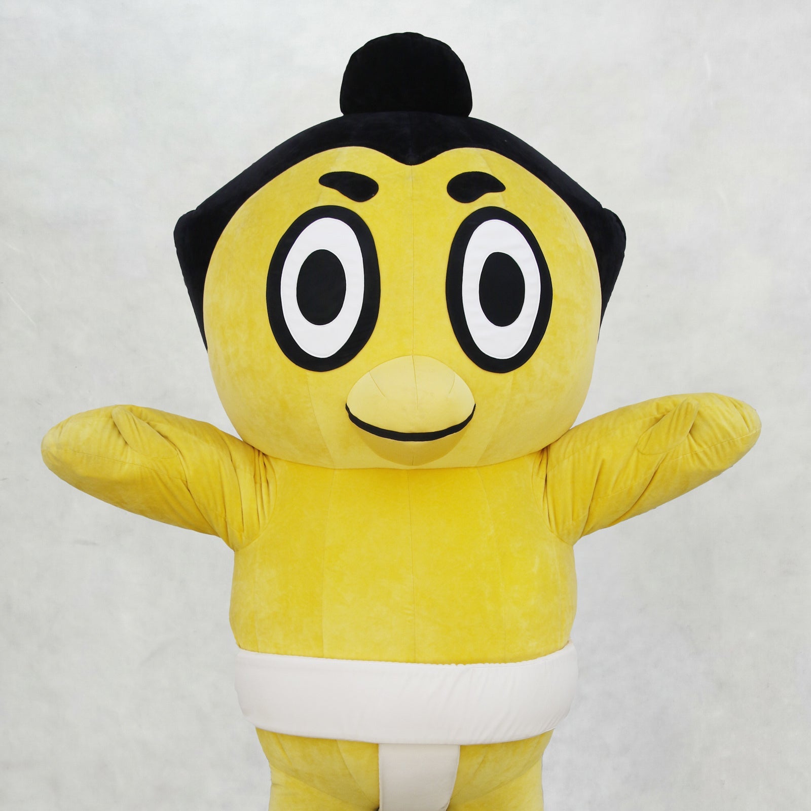 ひよの山（ひよのやま）のグッズ一覧 – お相撲さんのショッピング