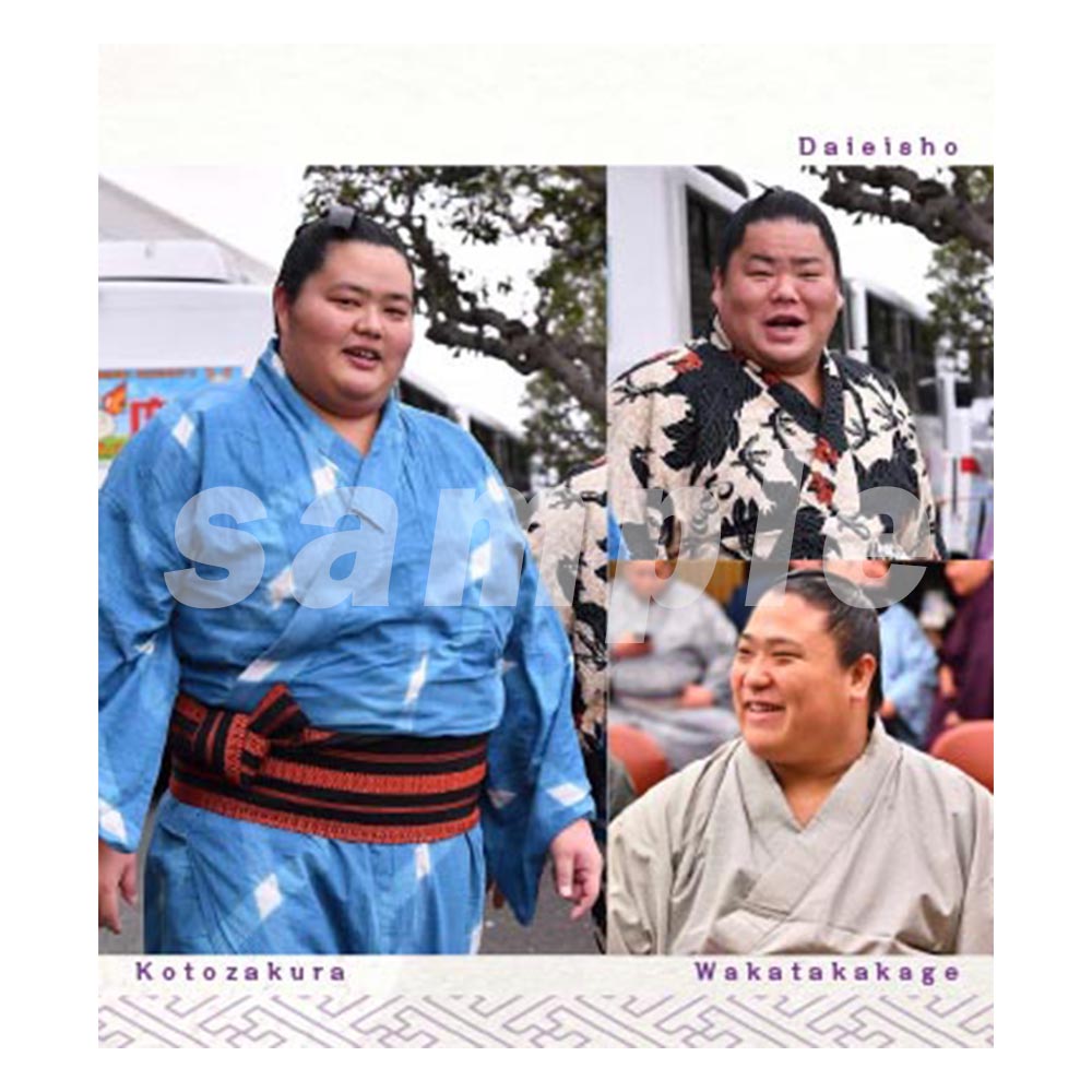 相撲日和(2026年力士卓上カレンダー)