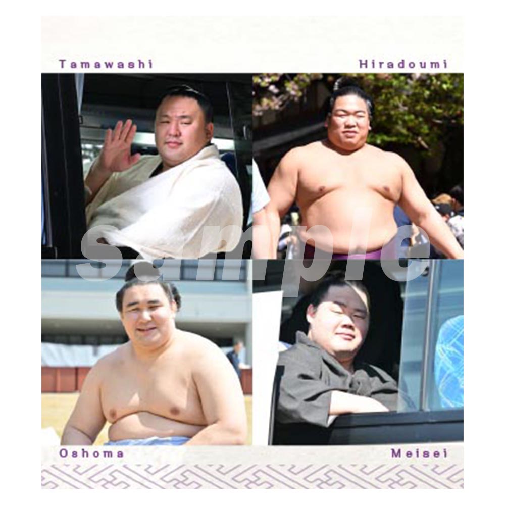 相撲日和(2026年力士卓上カレンダー)
