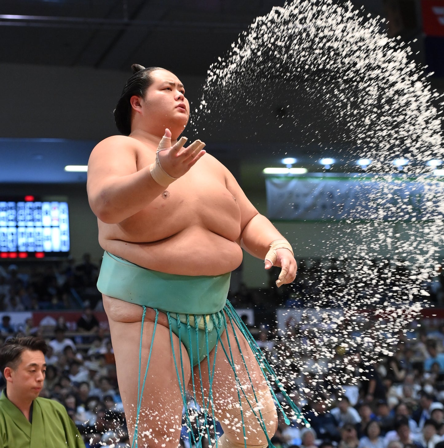 令和六年十一月場所 琴櫻 初優勝記念 純金製小判