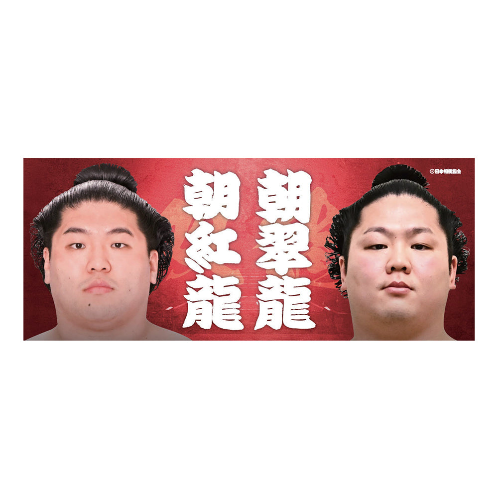 応援タオル(親子・兄弟)朝紅龍・朝翠龍