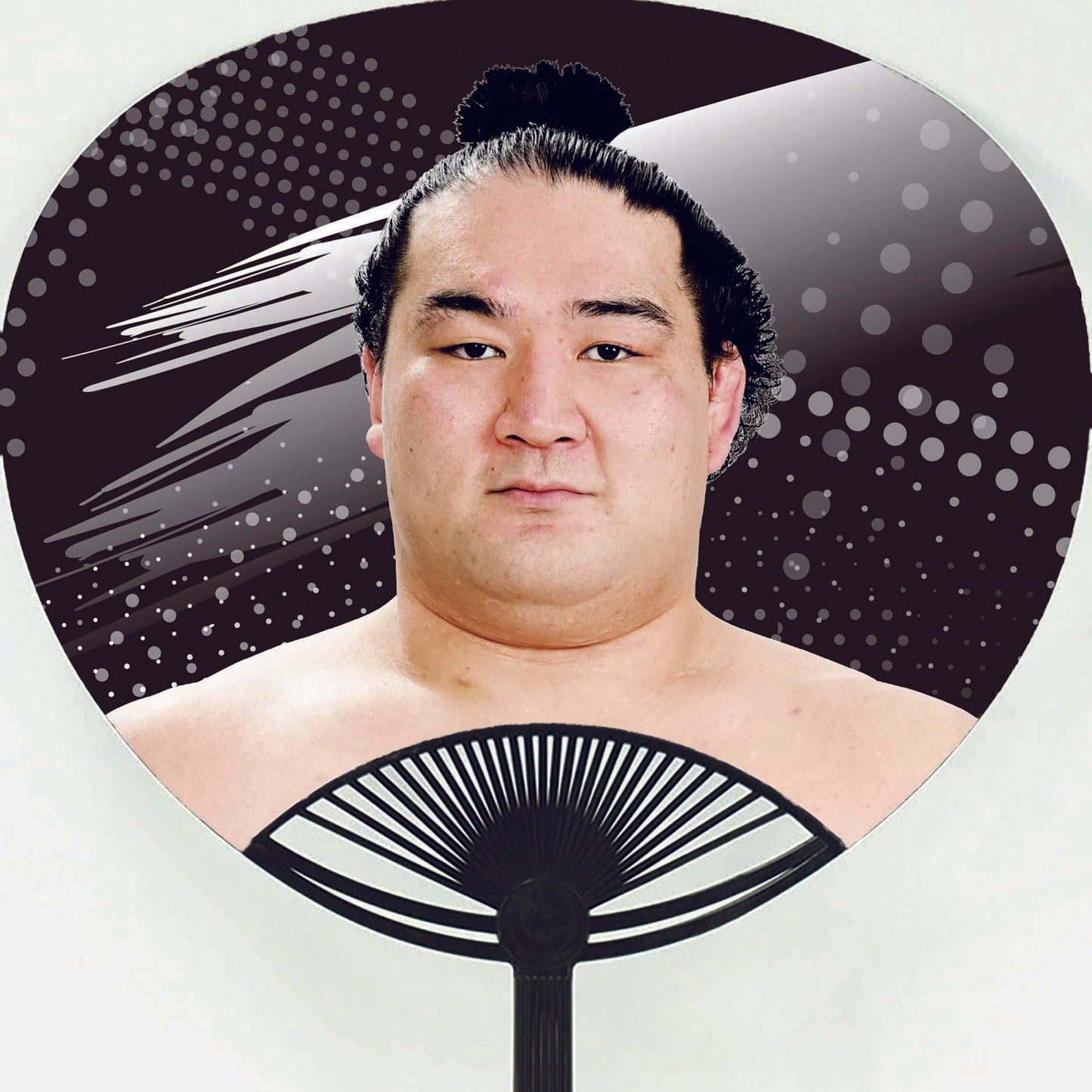 応援うちわ【レギュラーサイズ】竜電