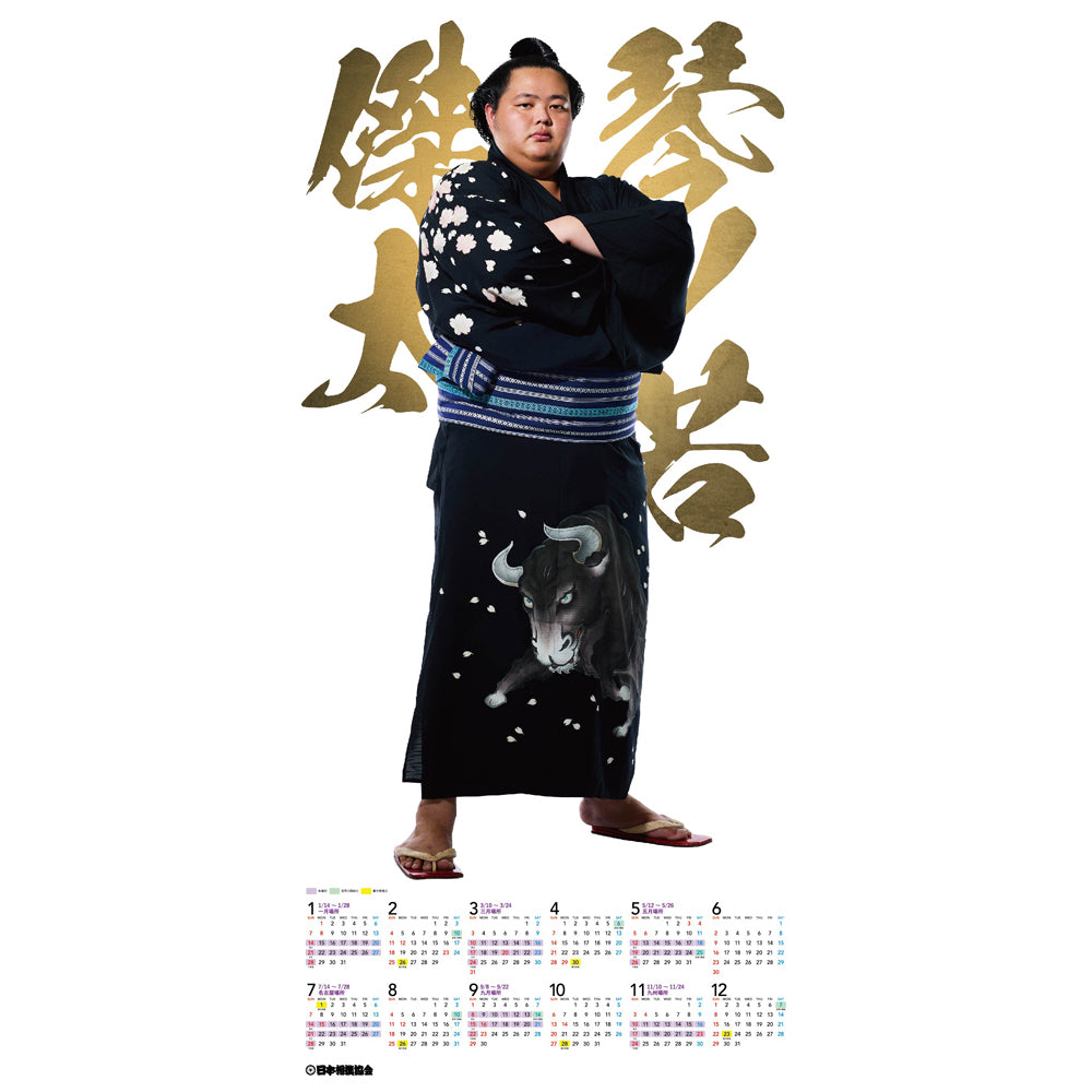 琴ノ若 グッズ カレンダー