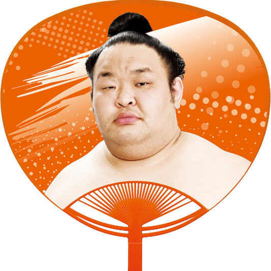 応援うちわ【レギュラーサイズ】水戸龍