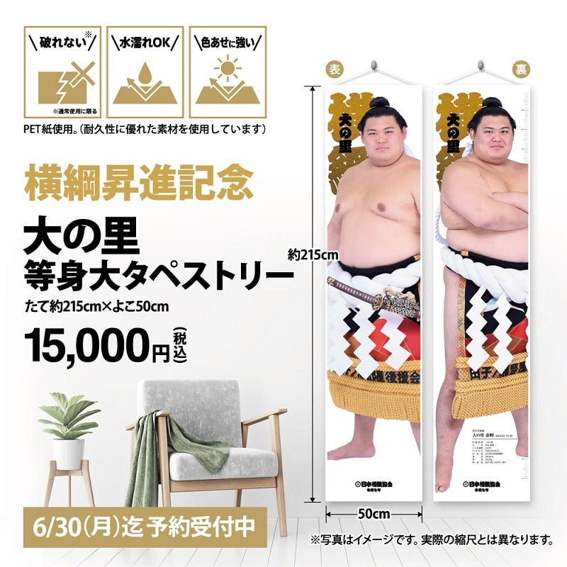 大の里 横綱昇進記念 等身大タペストリー