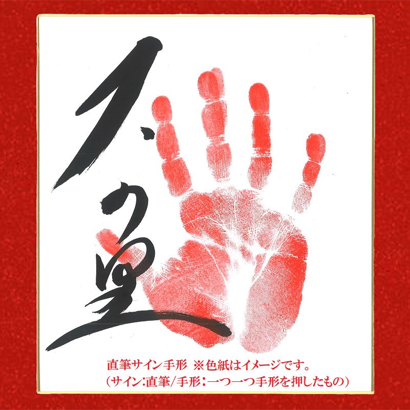 大の里 横綱昇進記念 純金製小判
