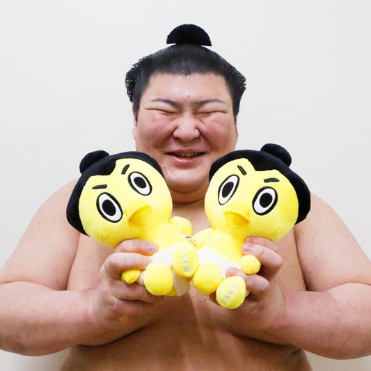 ひよの山と熱海富士