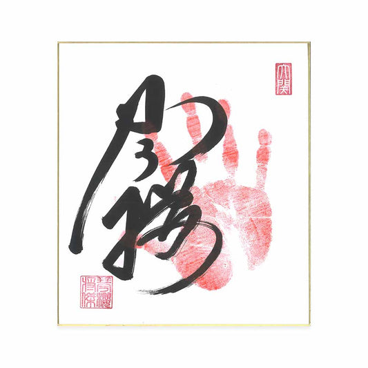 【数量限定】令和8年 横綱福袋