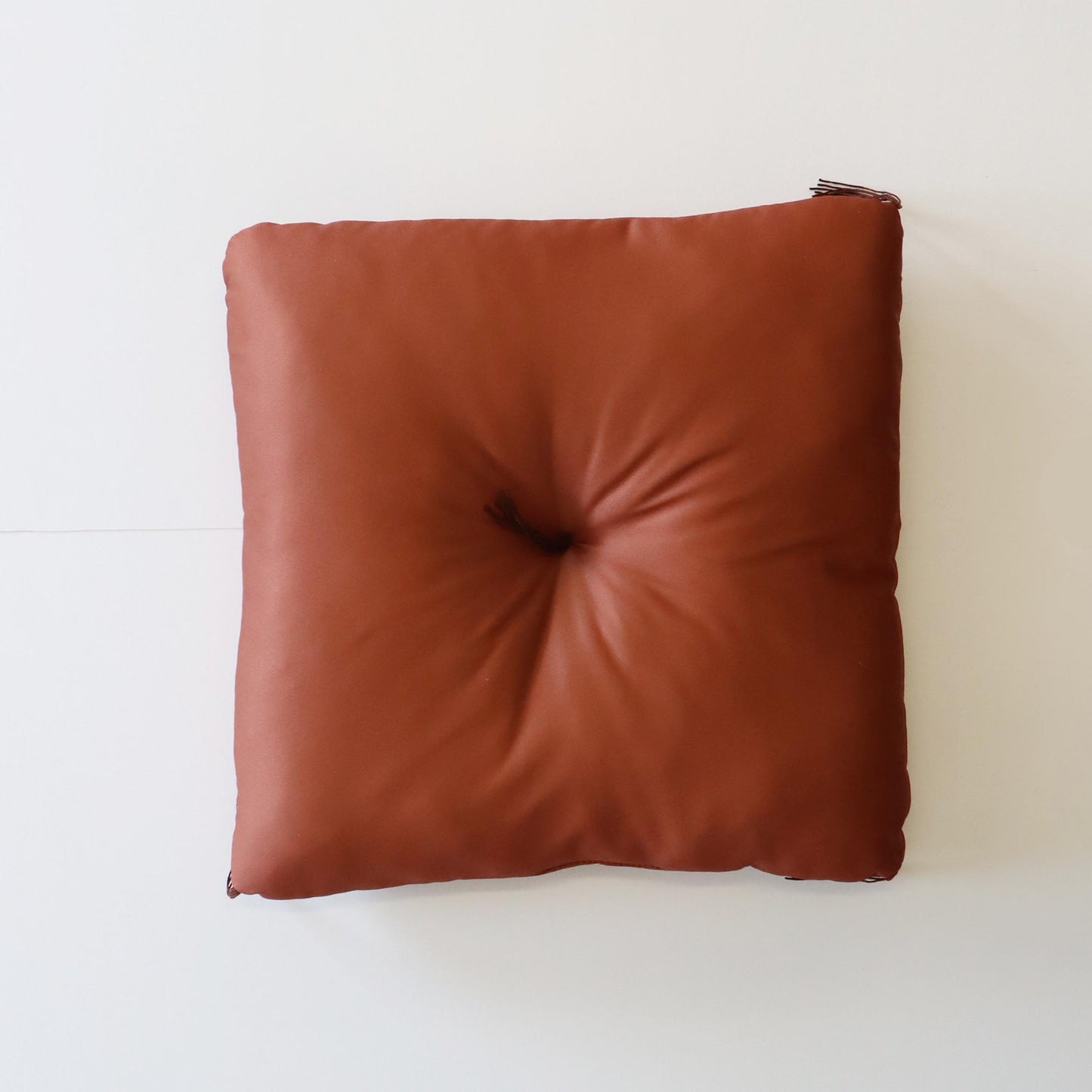 関取控え座布団(王鵬)