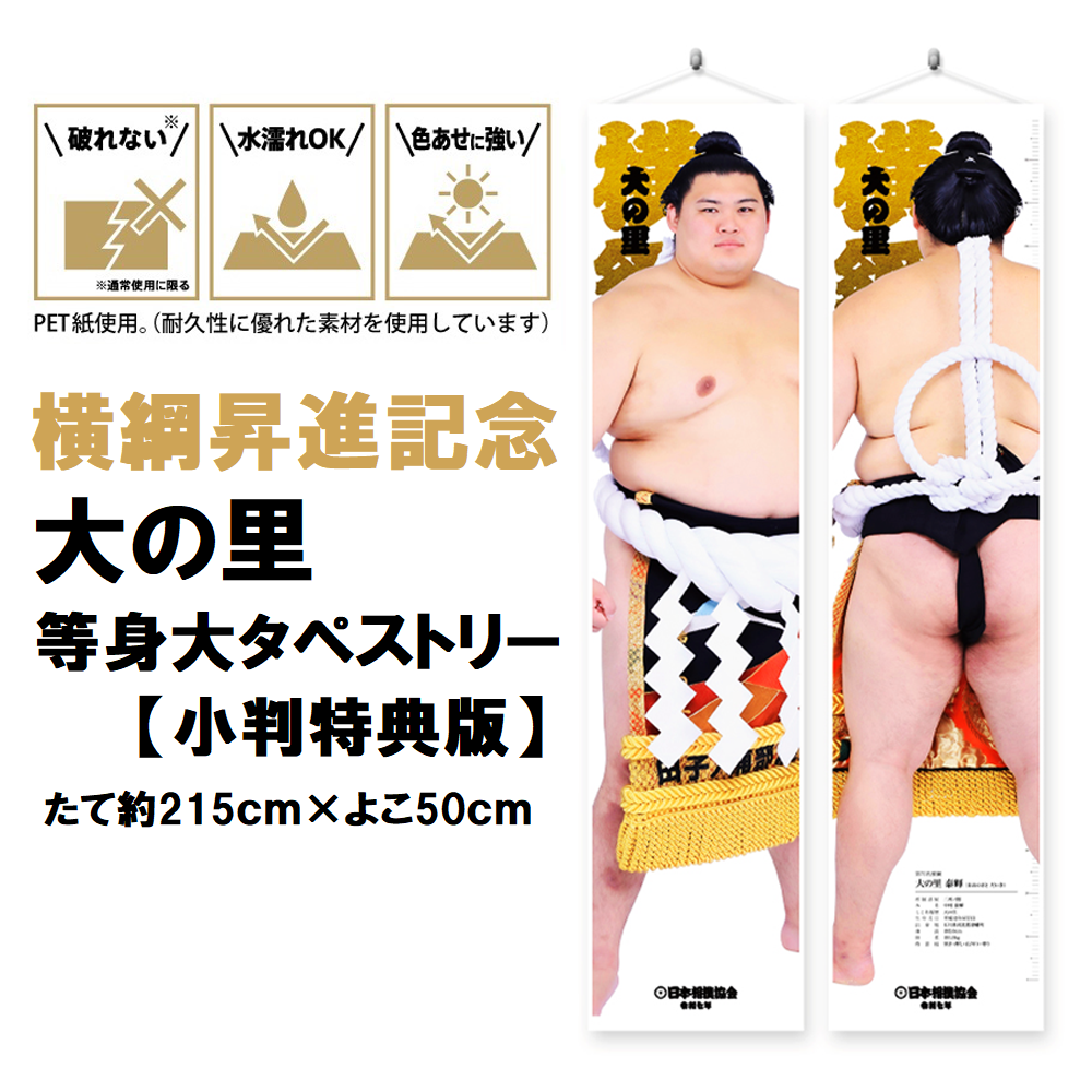 大の里 横綱昇進記念 純金製小判