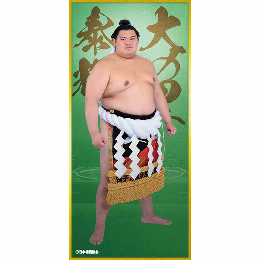 ビッグサイズポスター