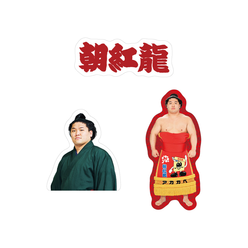 ごひいきセット(朝紅龍)