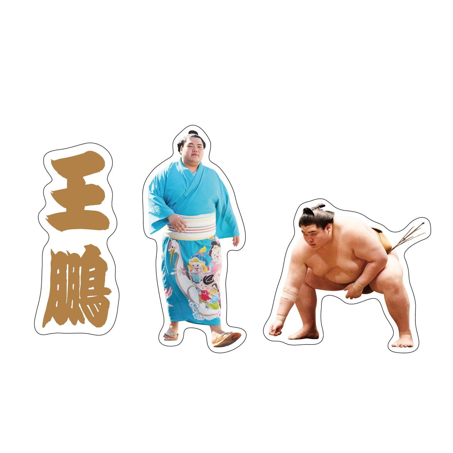力士応援セット(王鵬)