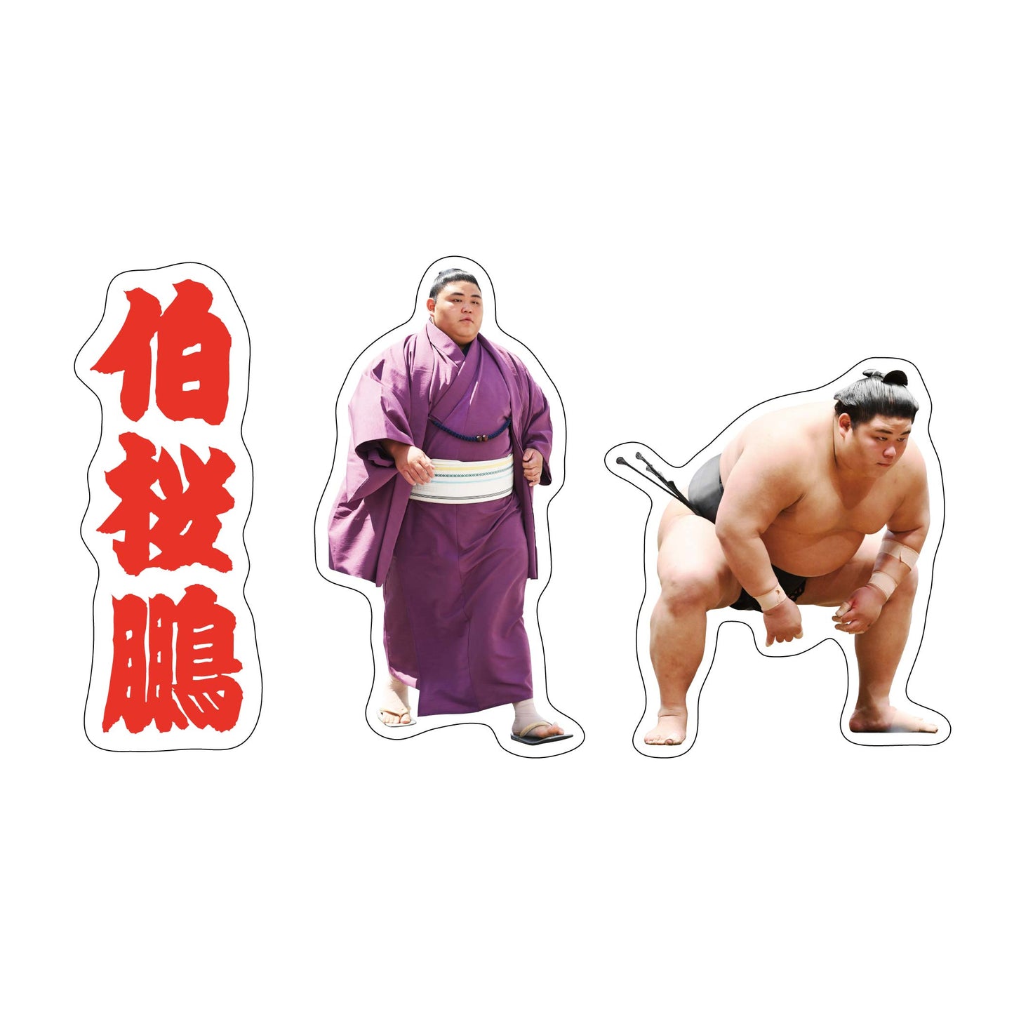 力士応援セット(伯桜鵬)