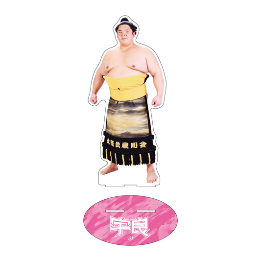 力士応援セット(宇良)