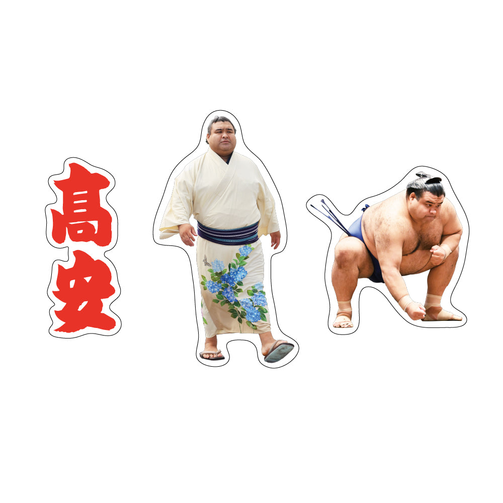 Rikishi Support Set (Takayasu)