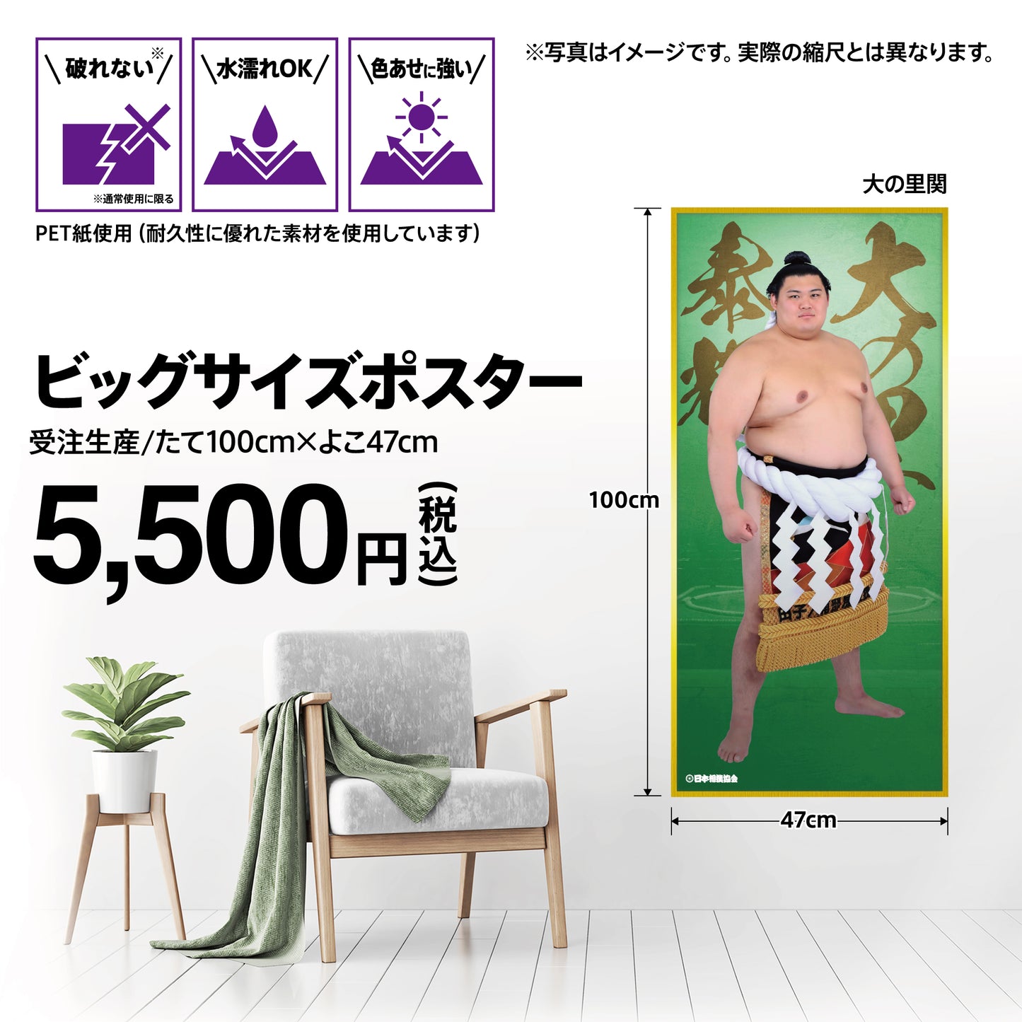 ビッグサイズポスター
