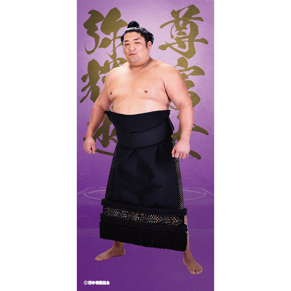 ビッグサイズポスター