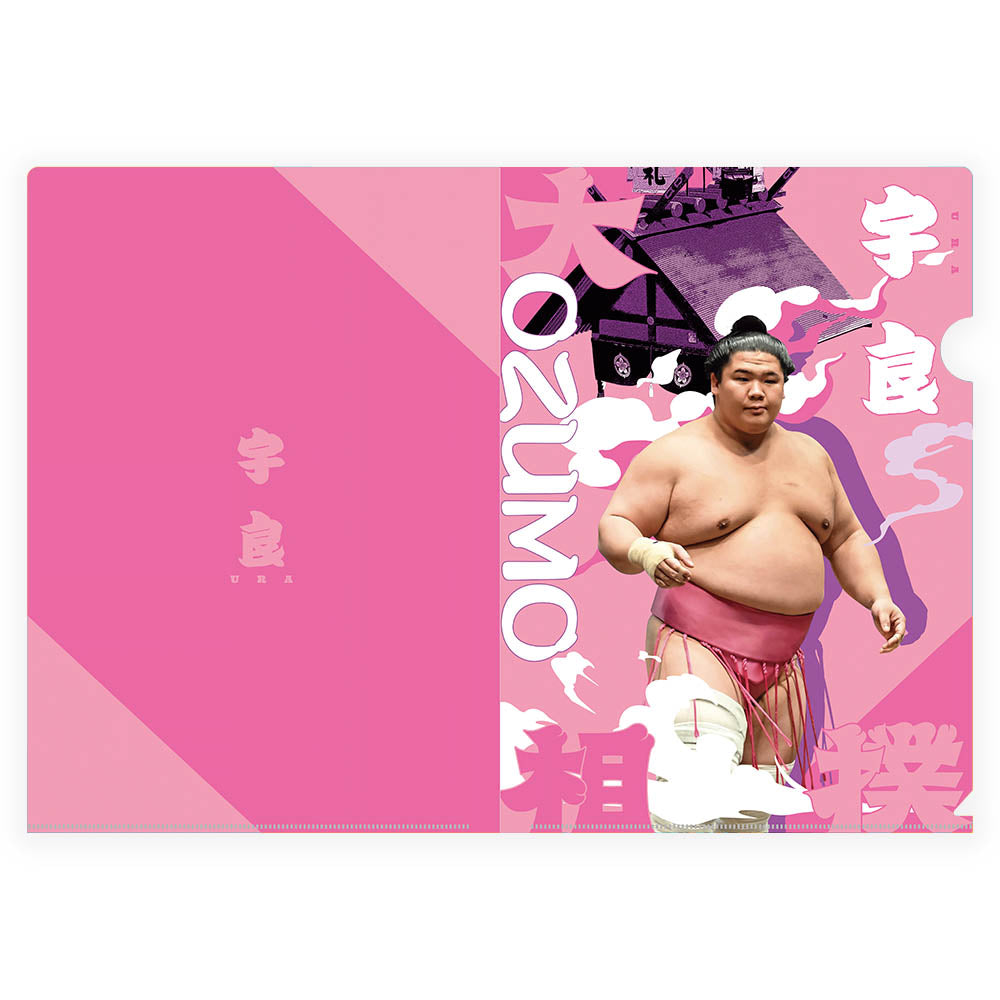 デザインクリアファイル(宇良)