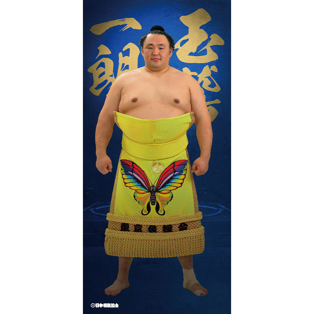 ビッグサイズポスター 玉鷲