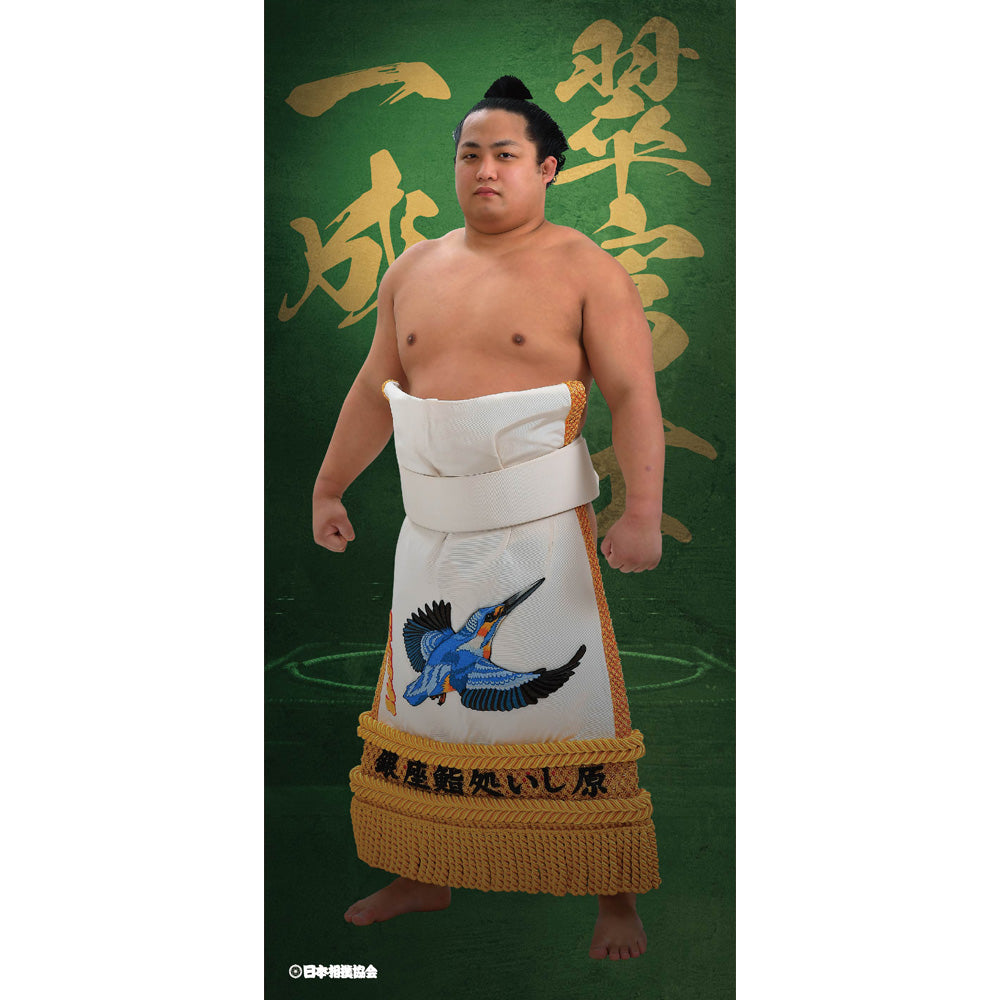 ビッグサイズポスター 翠富士