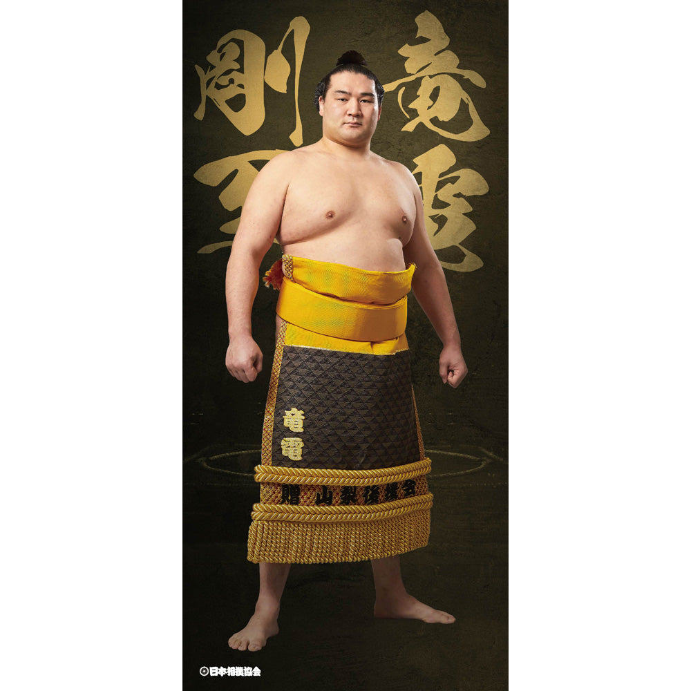 ビッグサイズポスター 竜電