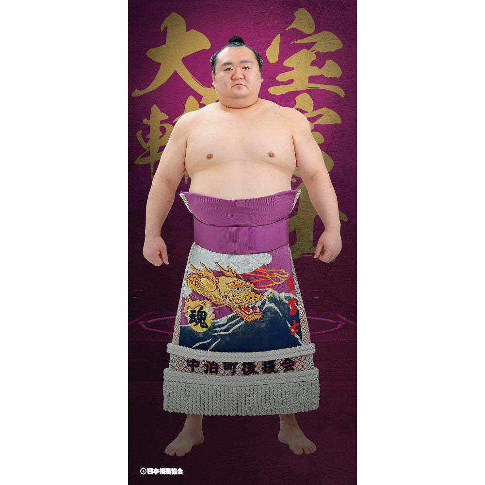 ビッグサイズポスター 宝富士