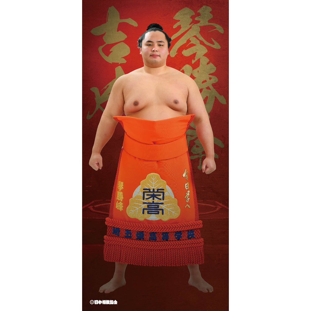 ビッグサイズポスター 琴勝峰