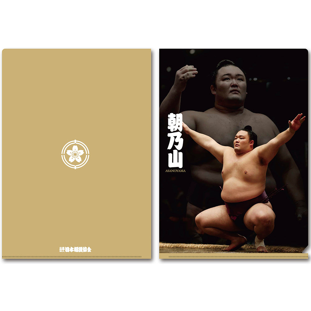 朝乃山 カード 相撲 | adventure-guides.co.jp