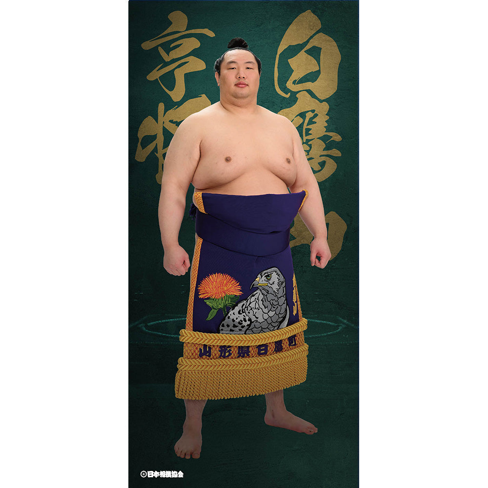 ビッグサイズポスター 白鷹山