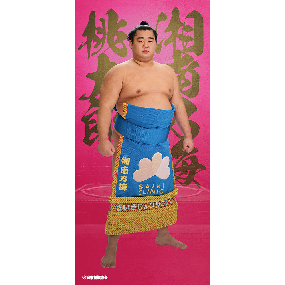 ビッグサイズポスター 湘南乃海
