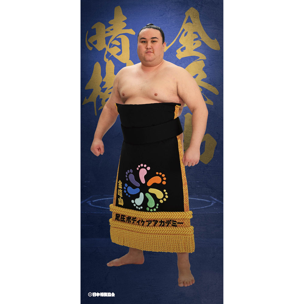 ビッグサイズポスター 金峰山