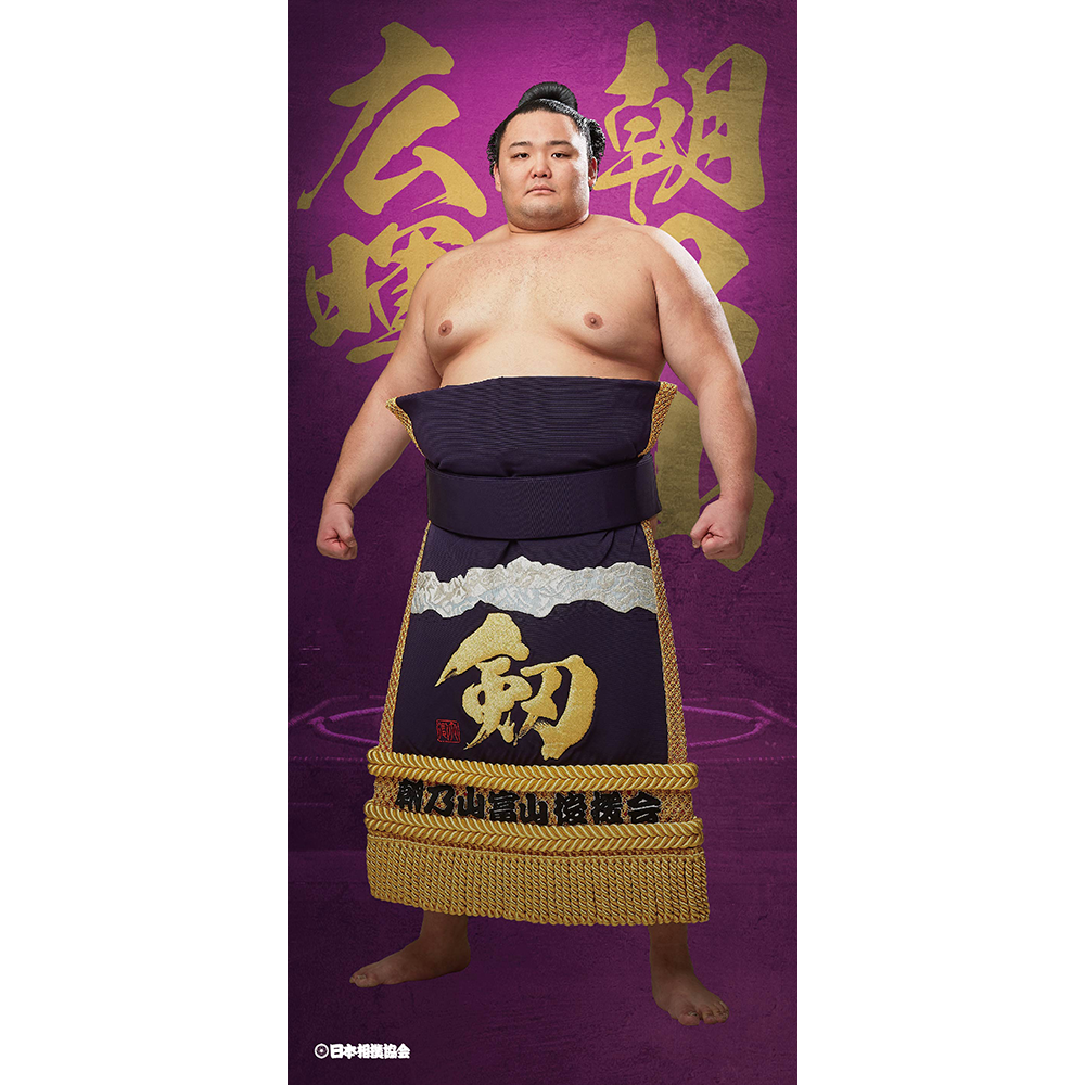 ビッグサイズポスター 朝乃山