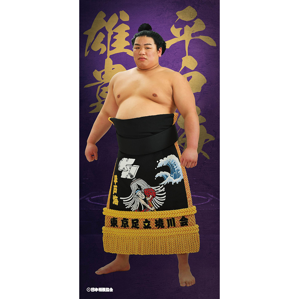 ビッグサイズポスター 平戸海
