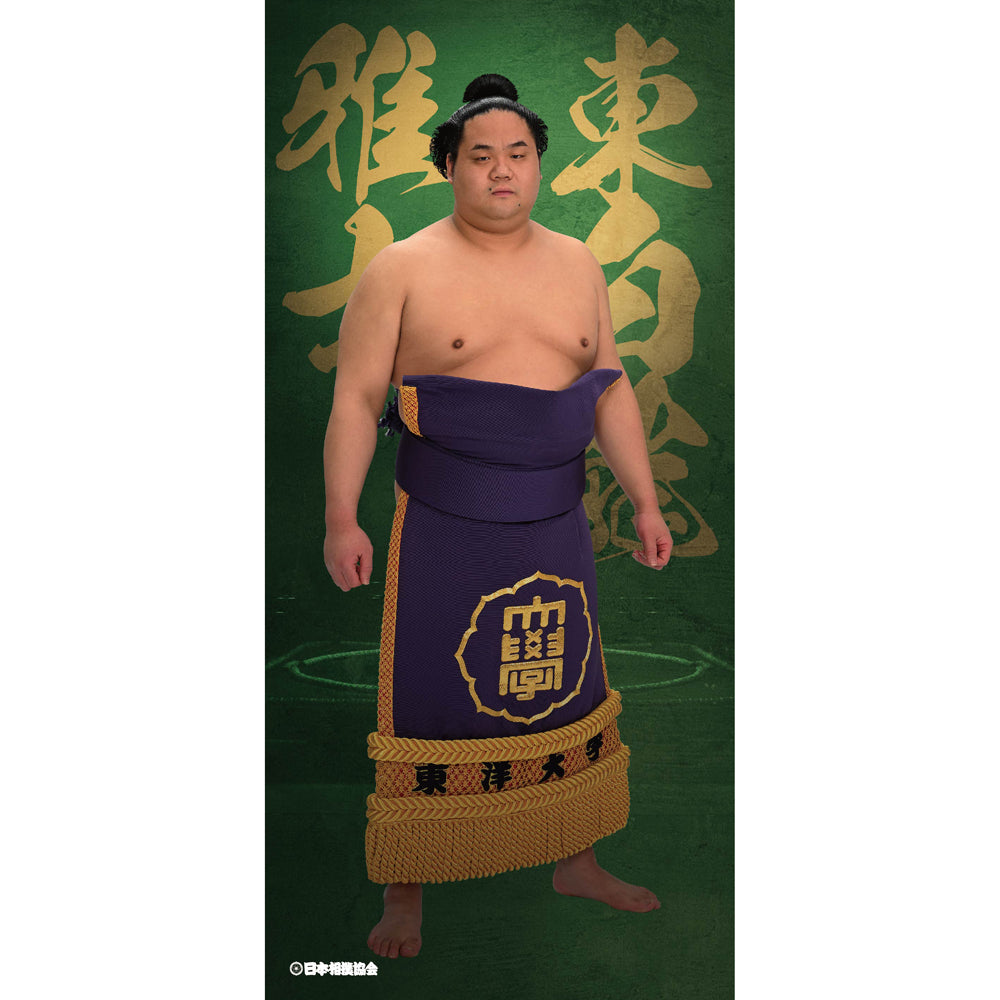 ビッグサイズポスター 東白龍