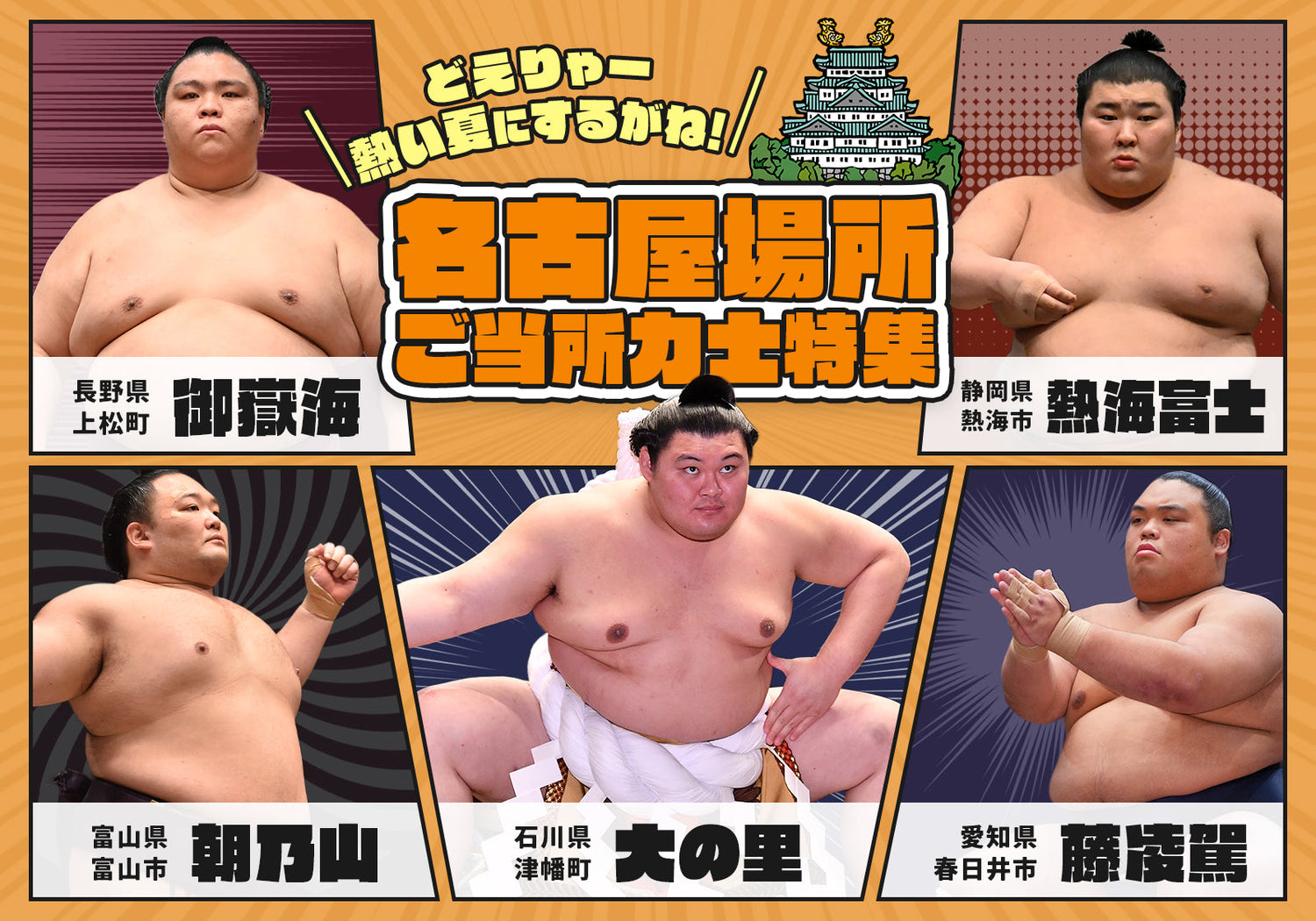 令和8年名古屋場所ご当所力士グッズ