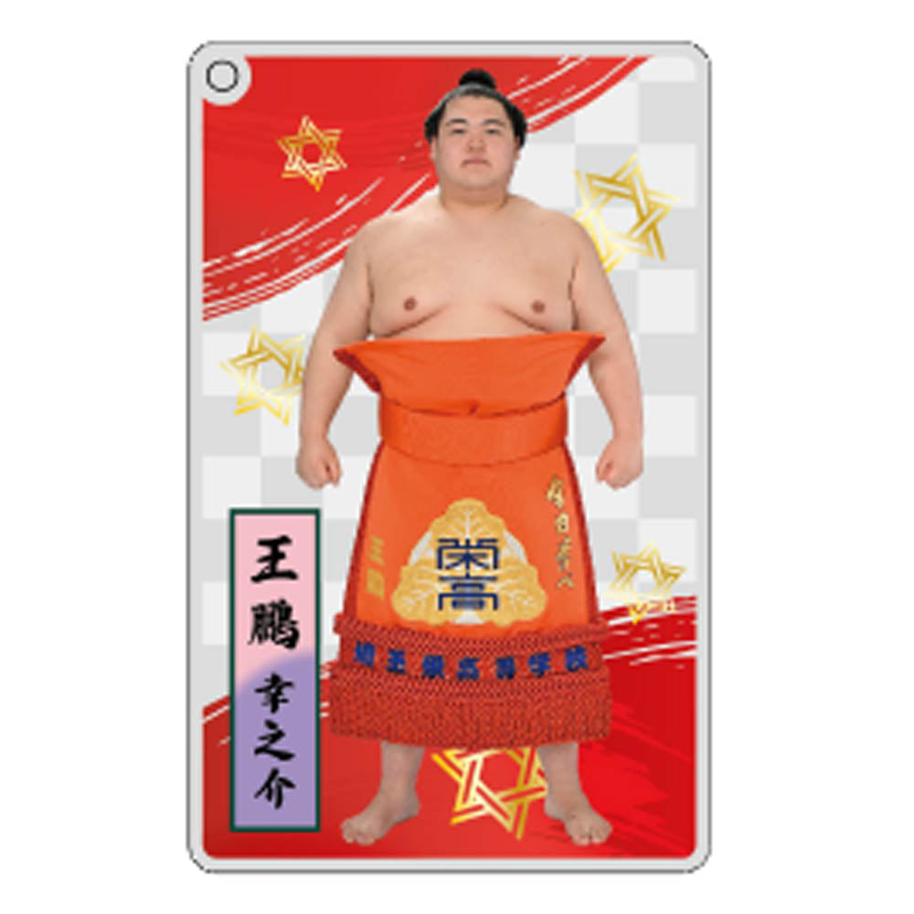 大相撲アクリルトレカ（全20種）