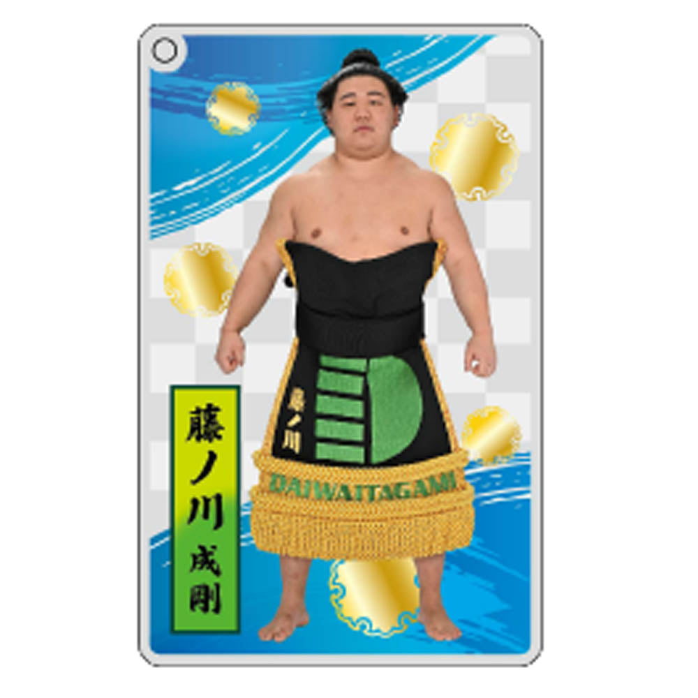 大相撲アクリルトレカ（全20種）