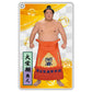 大相撲アクリルトレカ（全20種）