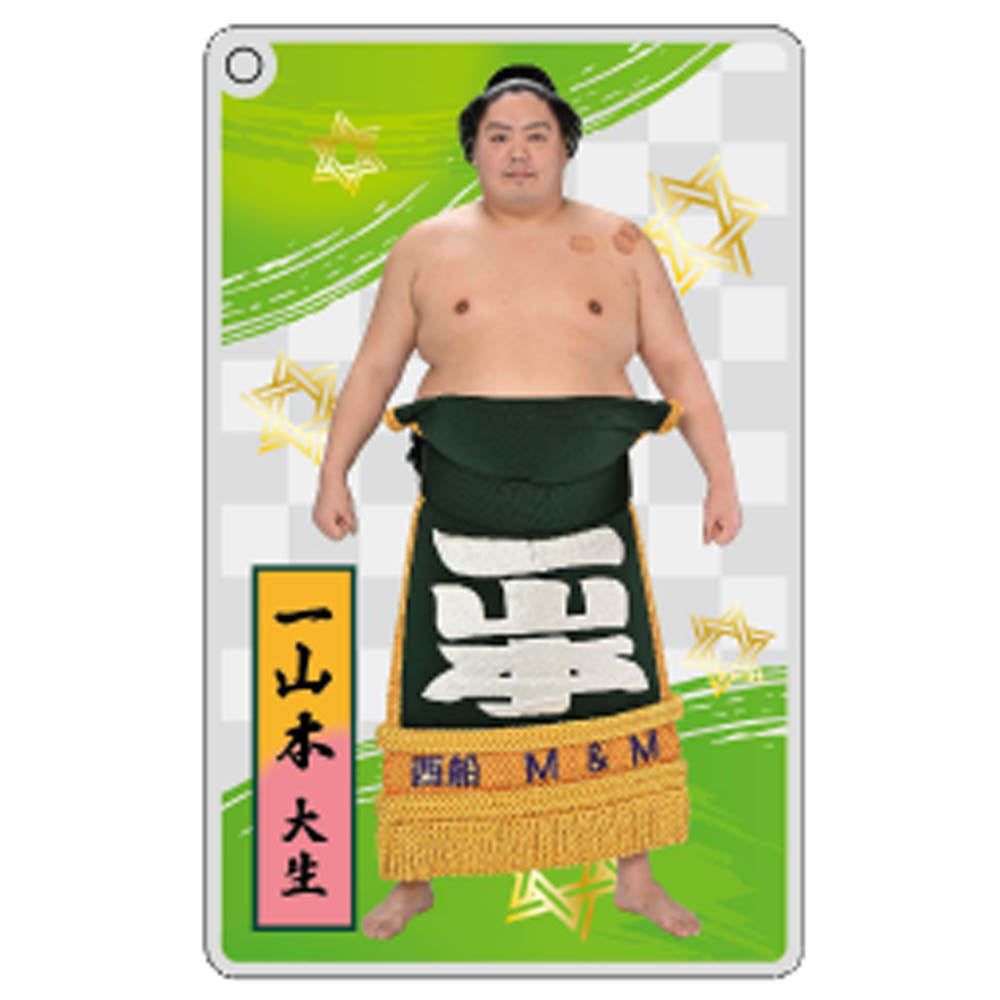 大相撲アクリルトレカ（全20種）