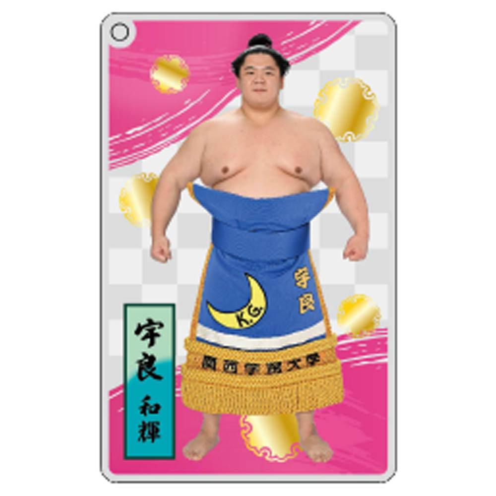 大相撲アクリルトレカ（全20種）