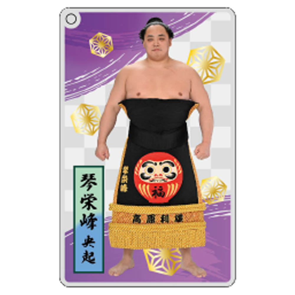 大相撲アクリルトレカ（全20種）