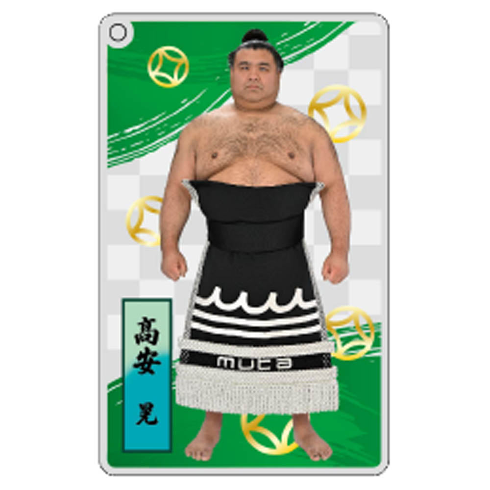 大相撲アクリルトレカ（全20種）