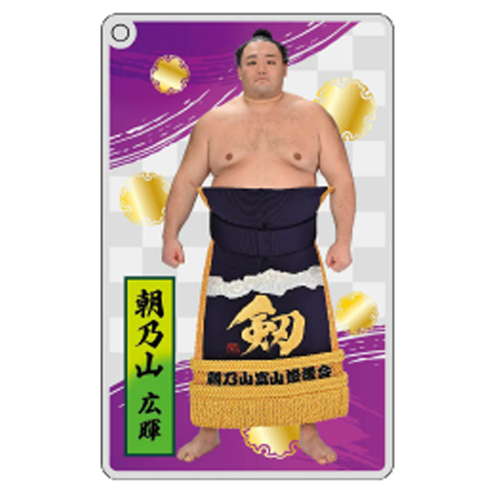 大相撲アクリルトレカ（全20種）