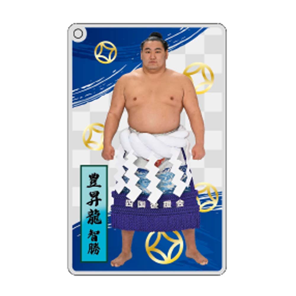 大相撲アクリルトレカ（全20種）