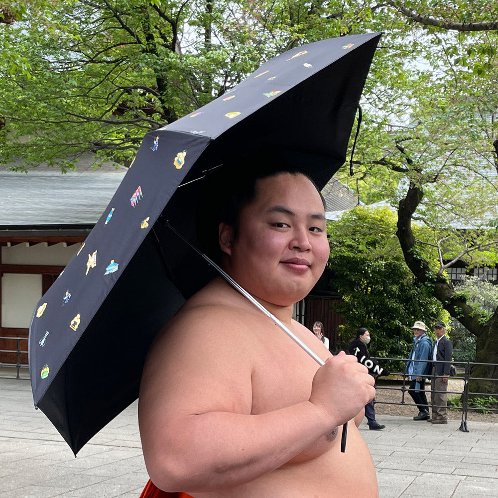 SUMO-TORI