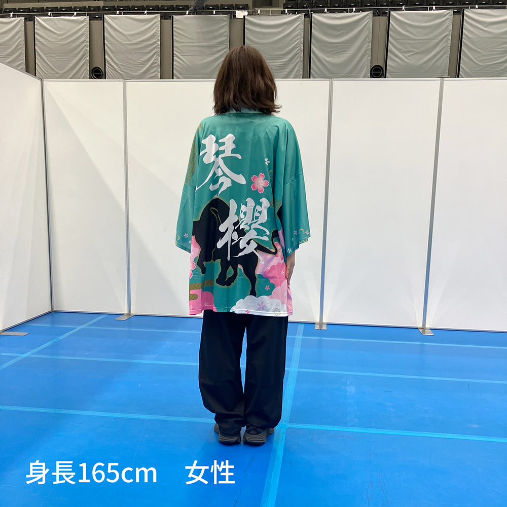 染め抜き風応援はっぴ（安青錦）