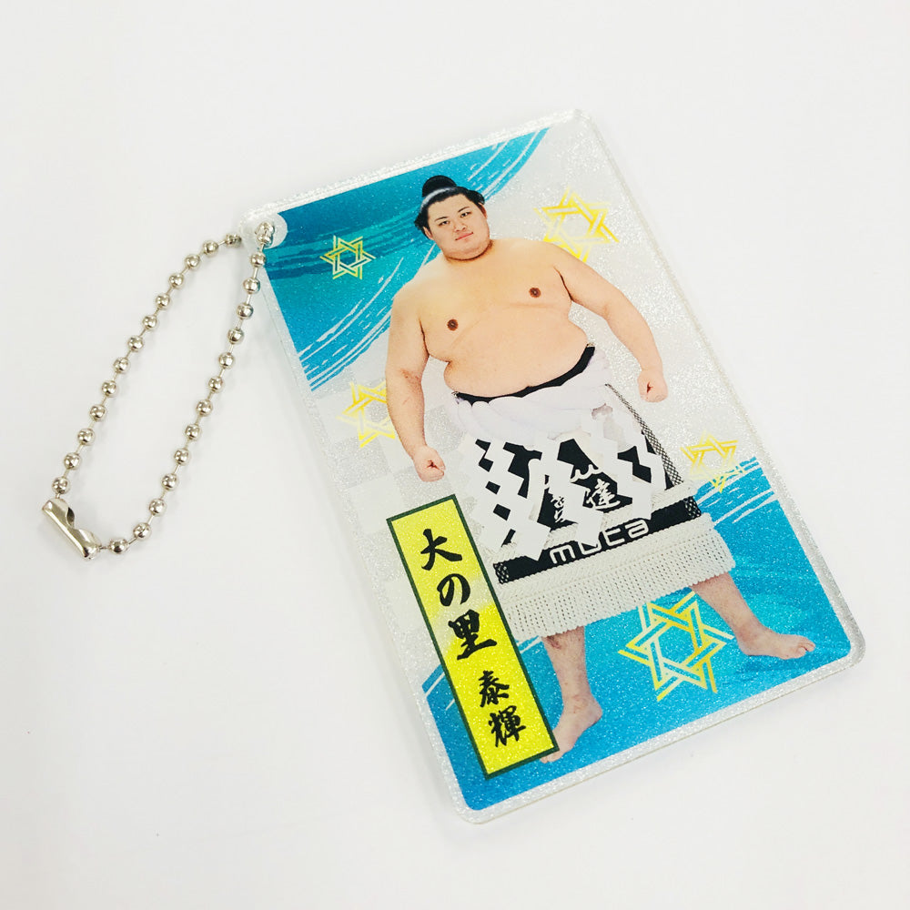 大相撲アクリルトレカ（全20種）