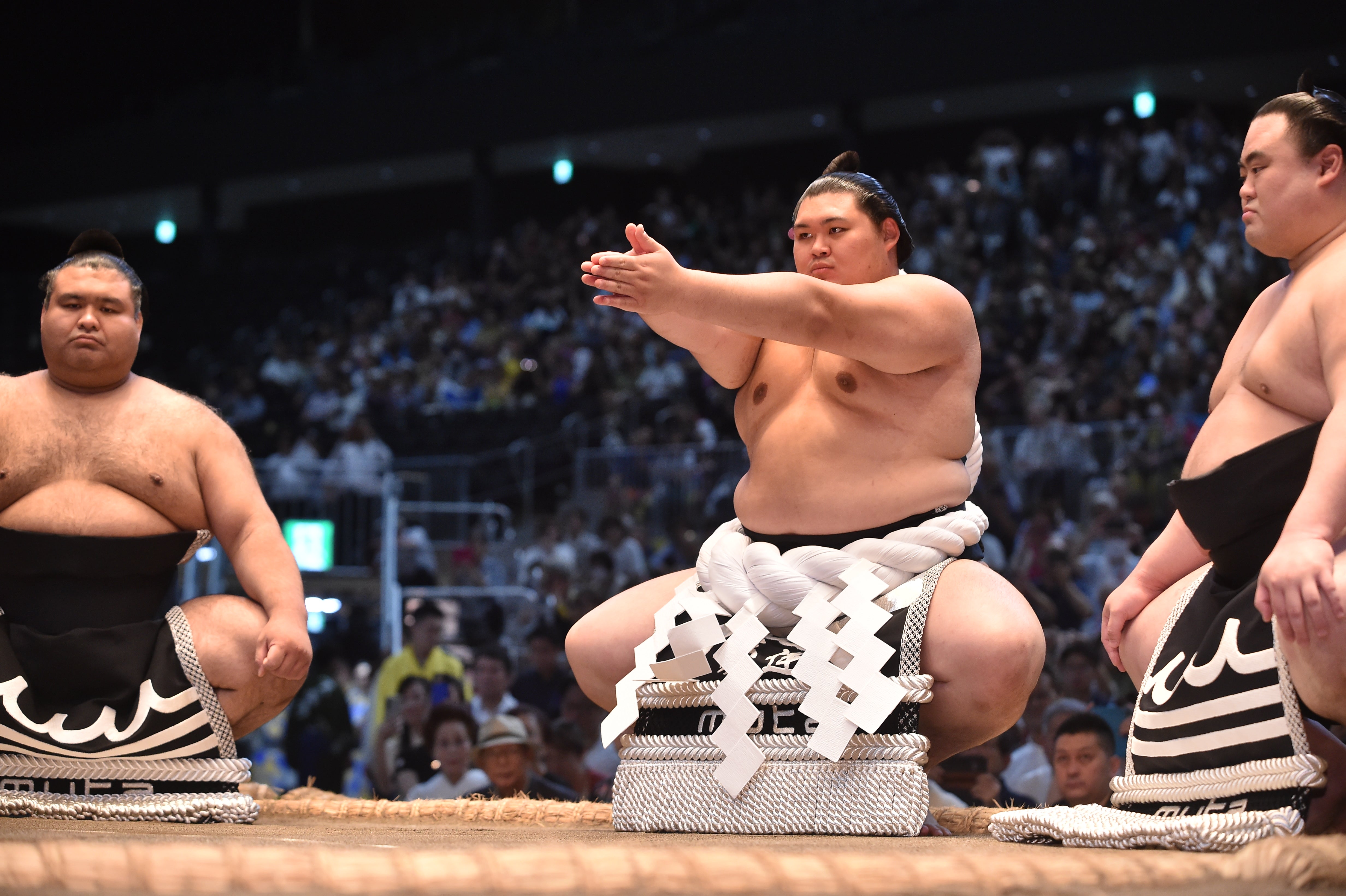 横綱　大の里グッズ ✨優勝おめでとう！大の里グッズはこちらから🤚 – お相撲さんの